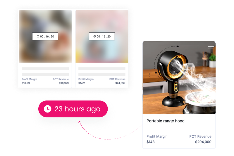Handpicked winning dropshipping products selected by ecommerce expert